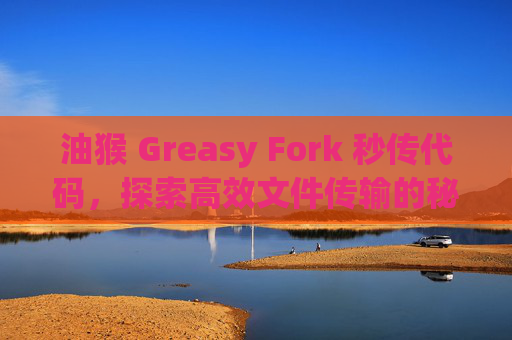 油猴 Greasy Fork 秒传代码，探索高效文件传输的秘密
